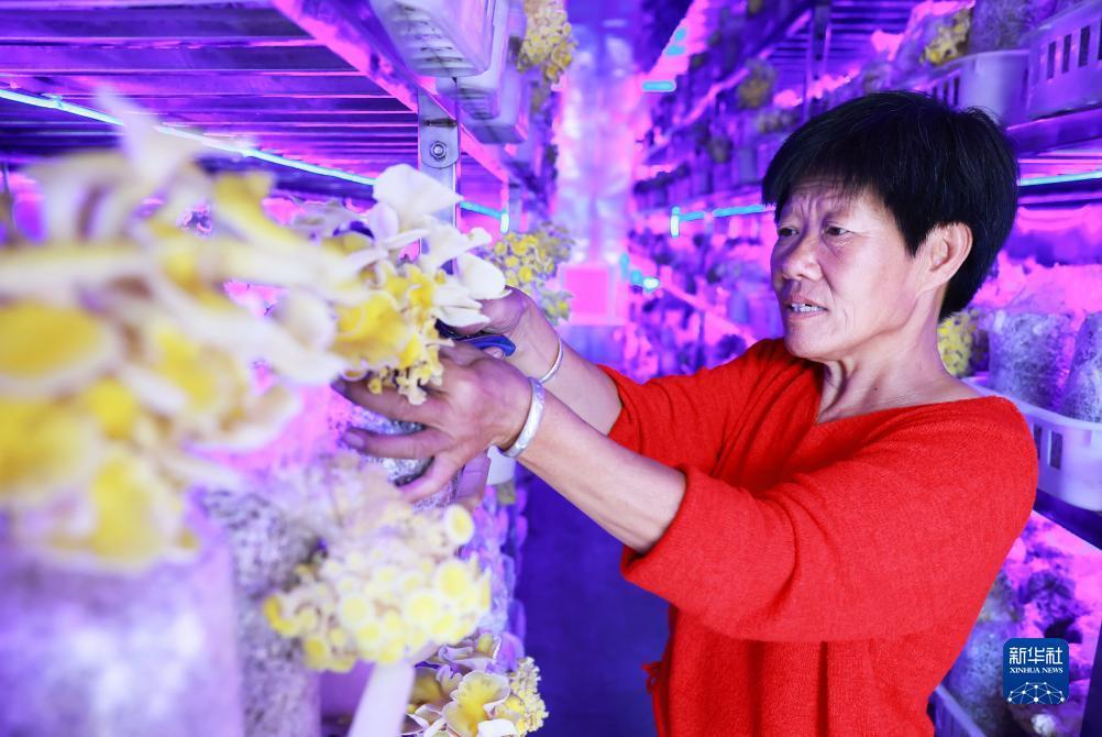那个平台送彩金